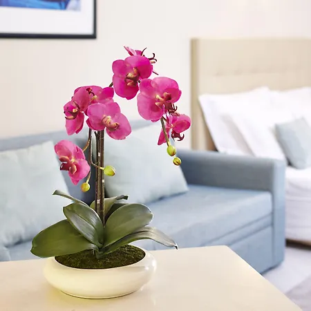 Luna Clube Oceano Apart Otel Albufeira