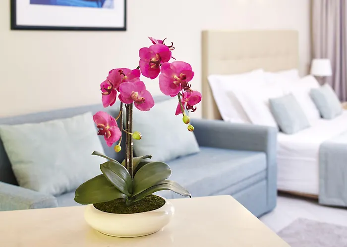 Luna Clube Oceano Apartmanhotel Albufeira